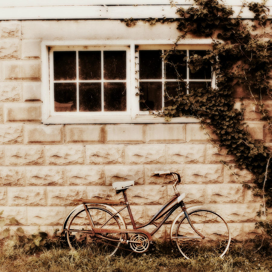 Vintage Bicycle Photograph by Julie Hamilton