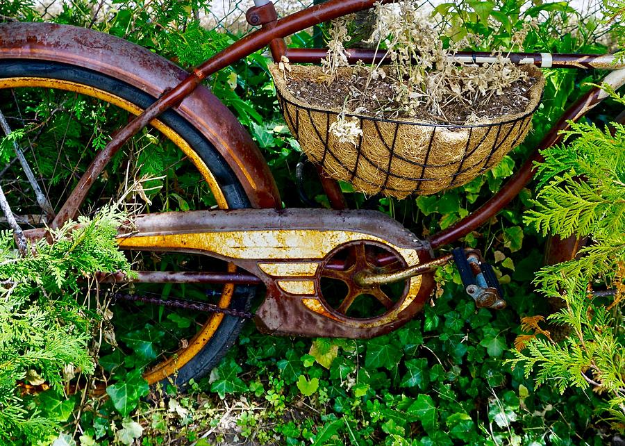 Vintage Bicyle Photograph by Kim Grosz | Fine Art America