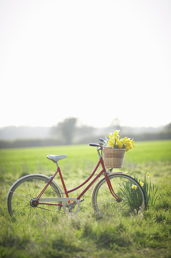 Vintage Bike In Countryside With Fresh Photograph by Dougal Waters