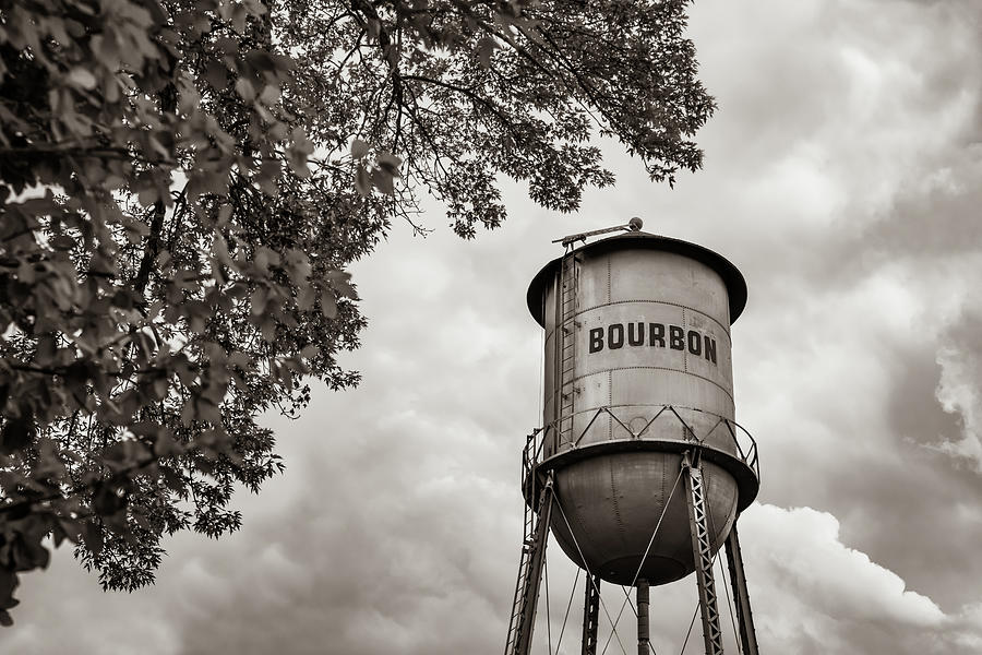 Vintage Bourbon Whiskey Water Tower and Tree - Classic Sepia Photograph by Gregory Ballos