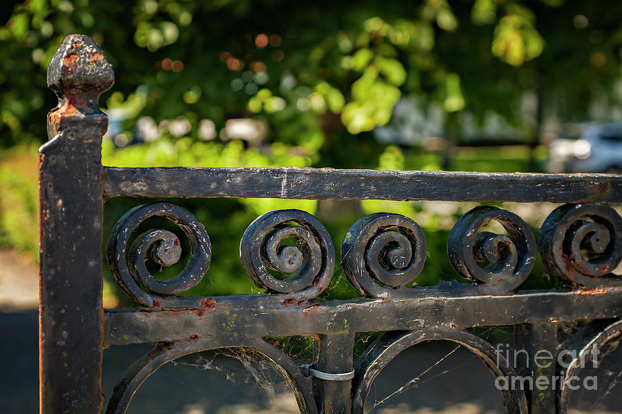 Vintage cast iron gate Photograph by Sophie McAulay