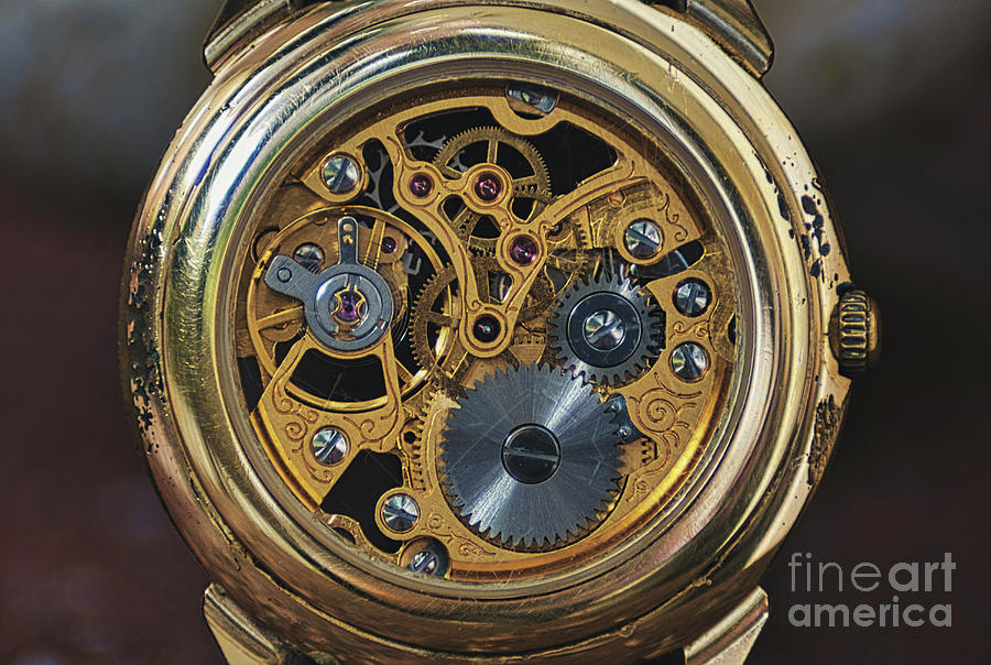 Automatic Mechanical Watches Women | Women's Automatic Mechanical Watch -  New Fashion - Aliexpress