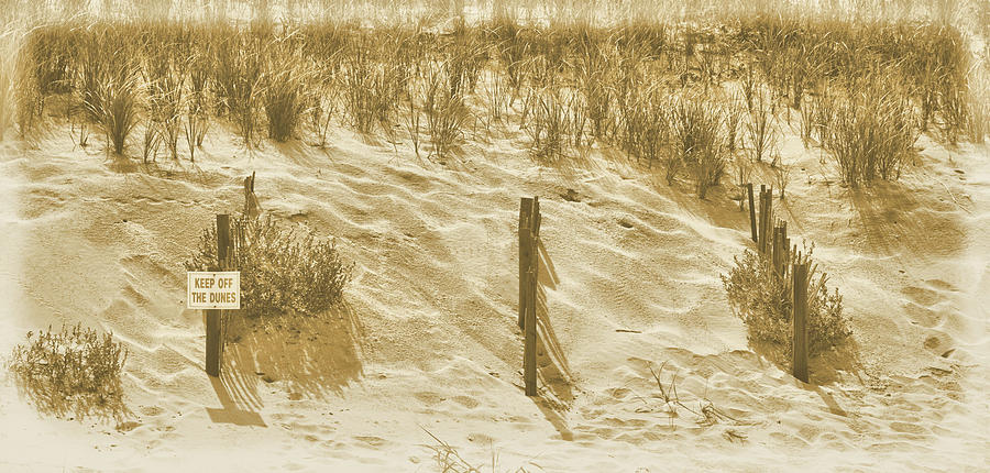 Vintage Dunes Photograph by JAMART Photography