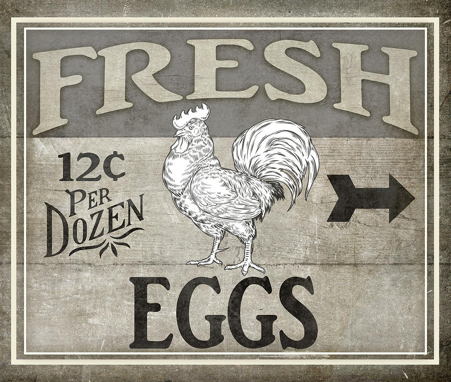 Egg Mixed Media - Vintage Farm Sign - Local Farmer - Fresh Eggs by Lightboxjournal