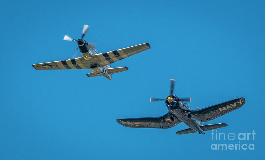 Vintage Fighters Photograph by Tom Claud