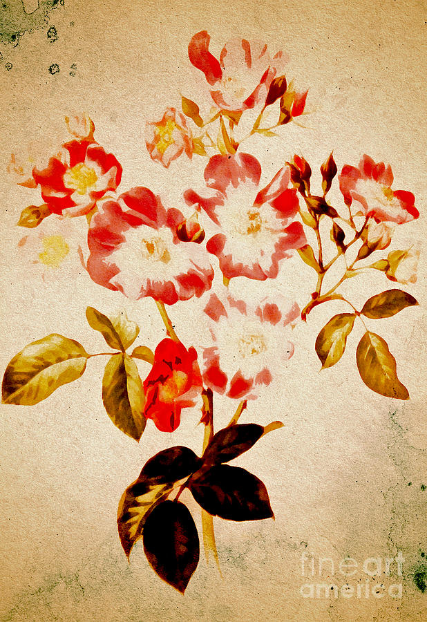 Vintage Flowers Digital Art by Steven Parker