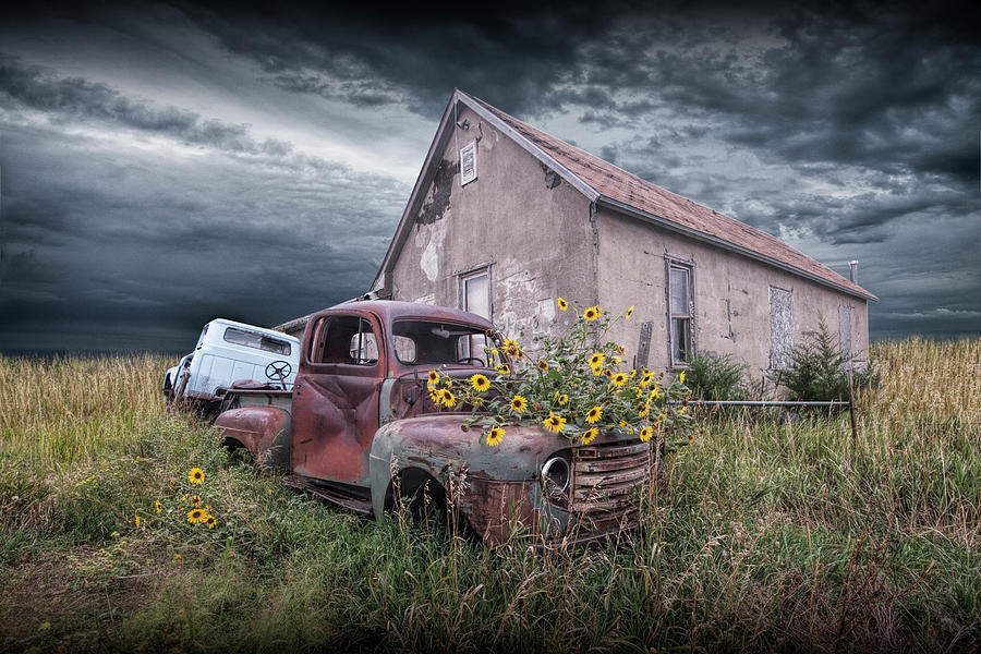 Vintage Ford Truck with Yellow Flowers abandoned on the prairie Photograph by Randall Nyhof