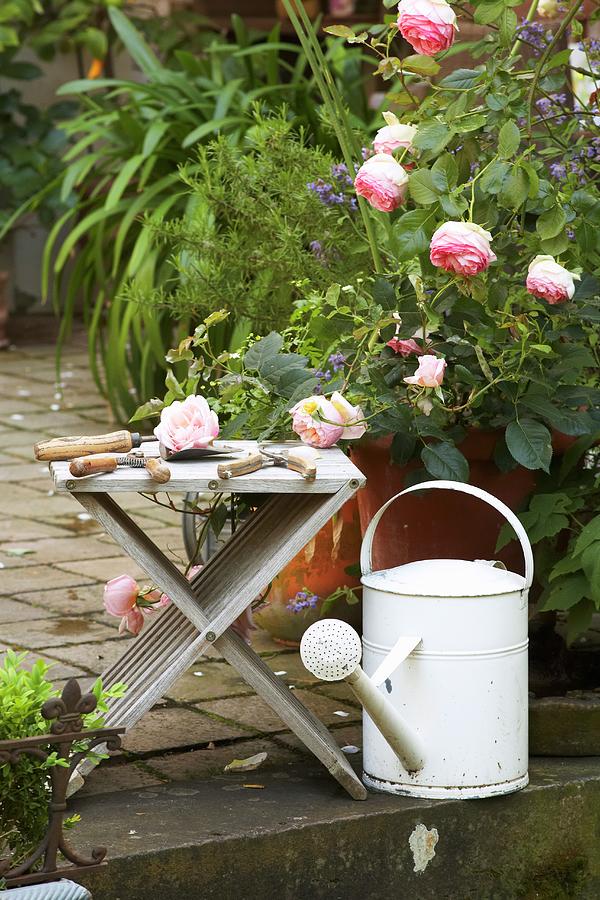 Vintage Garden Shears On Wooden Stool Next To Roses And White Watering Can Photograph by Heidi Frhlich