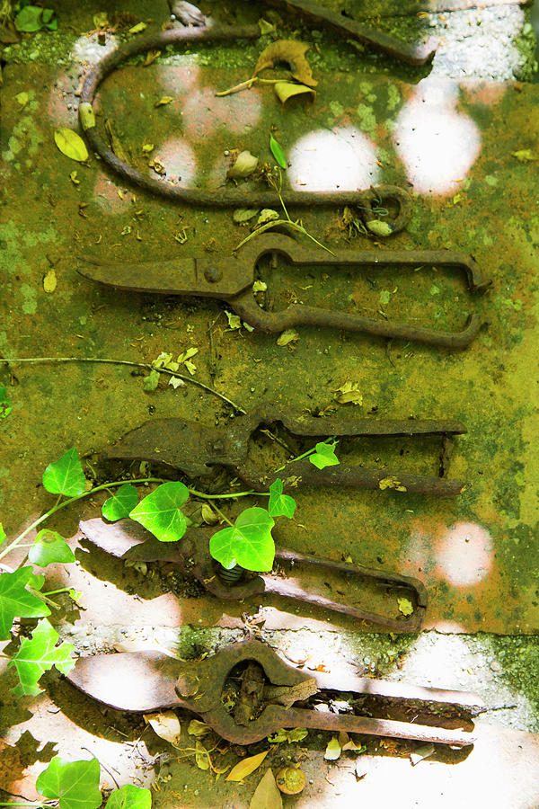 Vintage Garden Tools On Mossy Stone Photograph by Ivan Autet