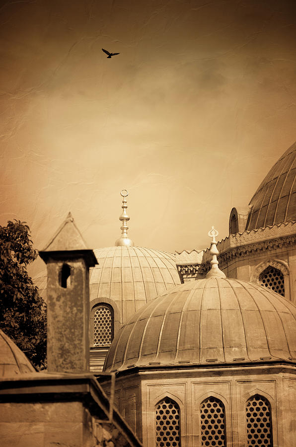 Vintage Hagia Sophia Mosque Photograph by Pixedeli