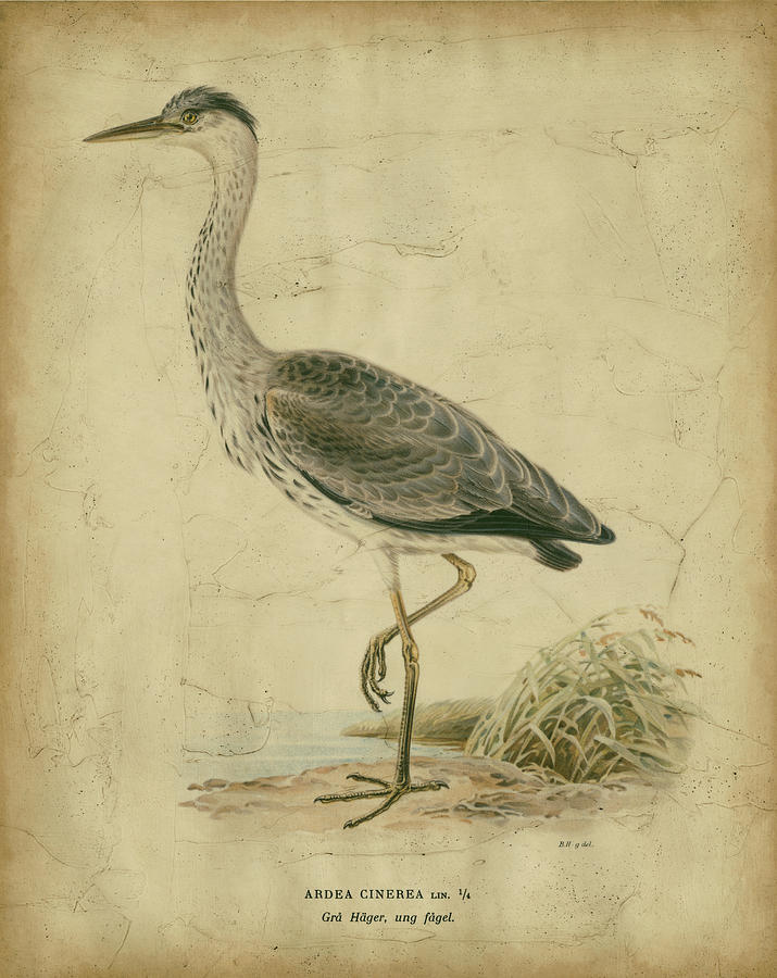 Vintage Heron II Painting by Von Wright - Fine Art America