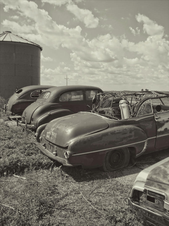 Vintage Junked Cars  Photograph by Cathy Anderson