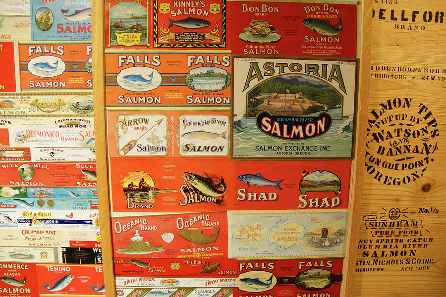  Vintage labels Oregon salmon cannneries Photograph by Steve Estvanik
