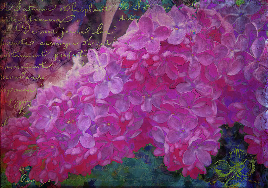 Vintage Lilacs Digital Art by Tina Lavoie