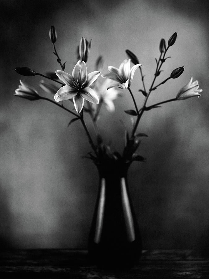 Vintage Lilies In Black And White Photograph by © Tim Layton Sr