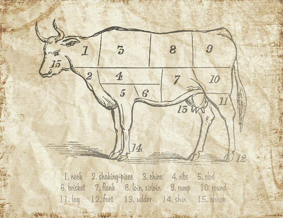 Vintage Meat Chart Painting By Marcus Jules 