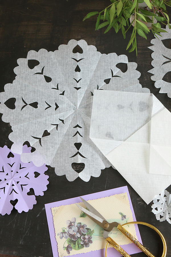 Vintage Paper Doilies With Hand-cut Patterns Photograph by Regina Hippel
