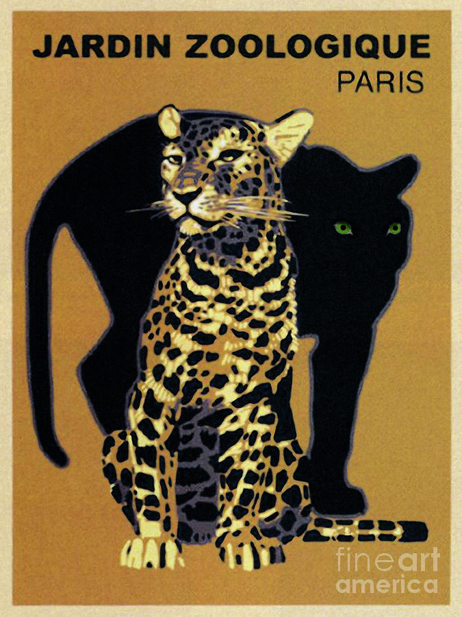 Vintage Paris Garden Zoo Ad panther and leopard big cats Painting by Tina Lavoie