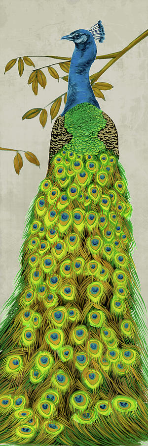 Animal Painting - Vintage Peacock II by Melissa Wang