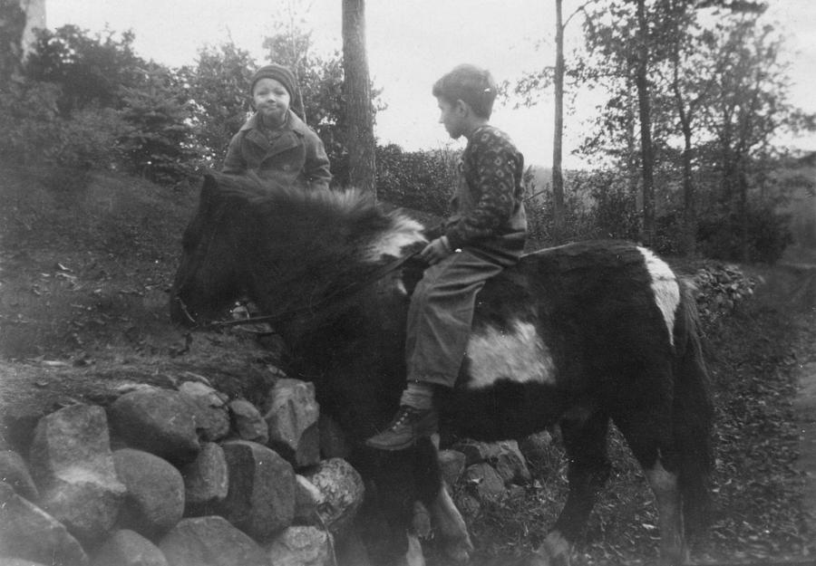 Download Vintage Photo 1920s 1940s Boy Riding A Pony 060 Painting By Celestial Images