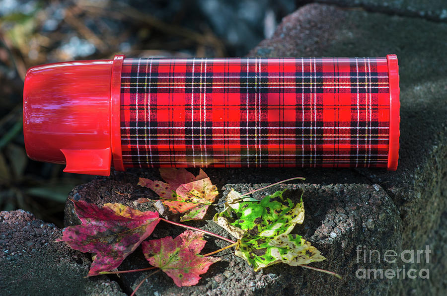 Aladdin Red and Black Plaid Thermos