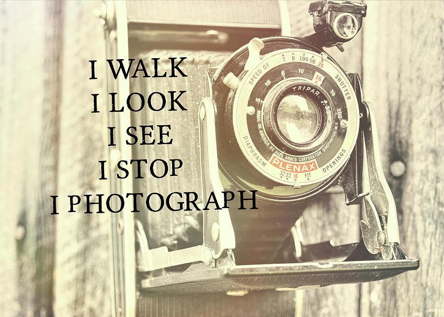 VINTAGE PLENAX quote Photograph by Jamart Photography