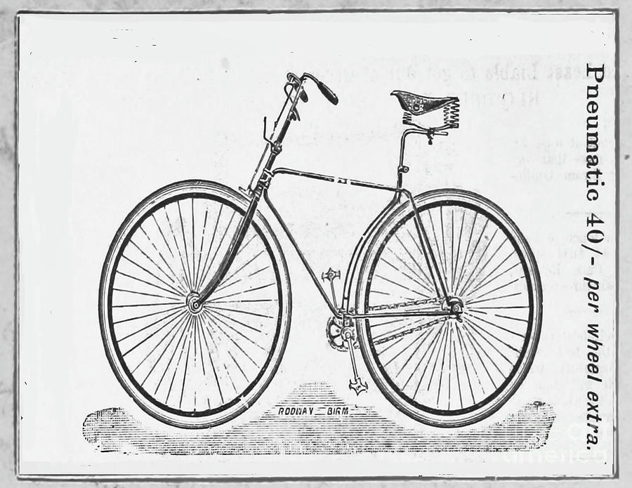 Vintage Pneumatic Bicycle Black and White Rover by Nikki Vig Vintage Pneumatic Bicycle Black and White Rover by Nikki Vig