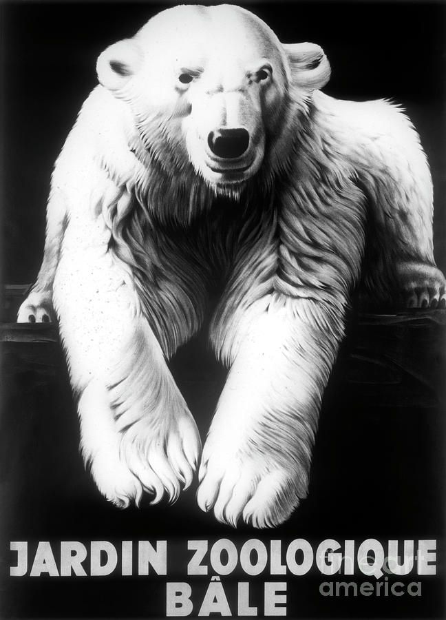 Polar Bear Painting - Vintage Polar Bear Zoo Poster by Mindy Sommers
