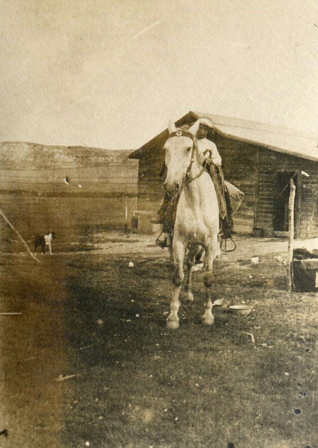 Vintage Portrait Photos 1890 - 1945 - Horse riding  264 Painting by Celestial Images
