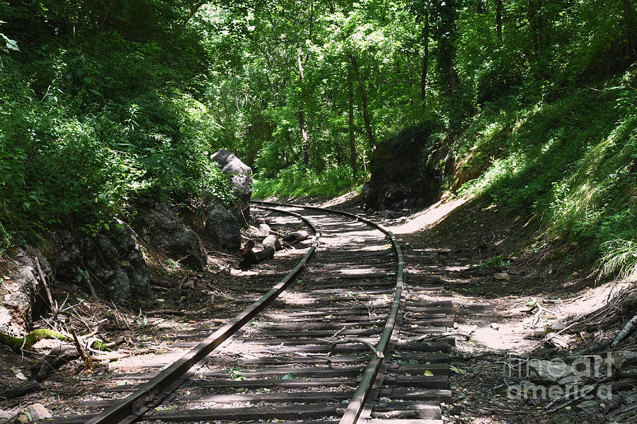 Vintage Railroad Track 1 Photograph by Phil Perkins