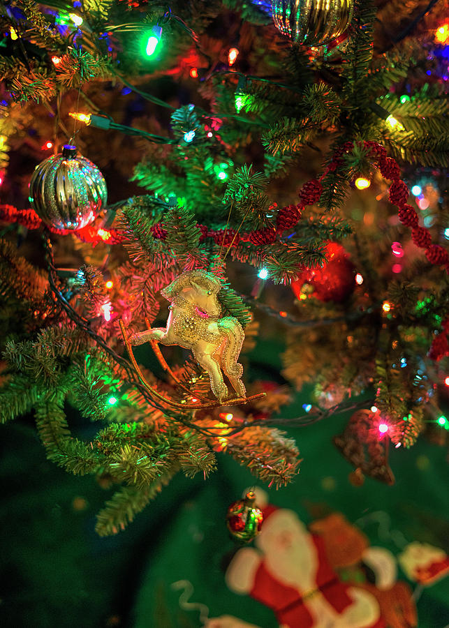 Vintage Rocking Horse on the Tree Photograph by Cordia Murphy