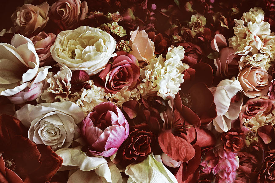 Vintage Rose Collection Photograph by Jessica Jenney