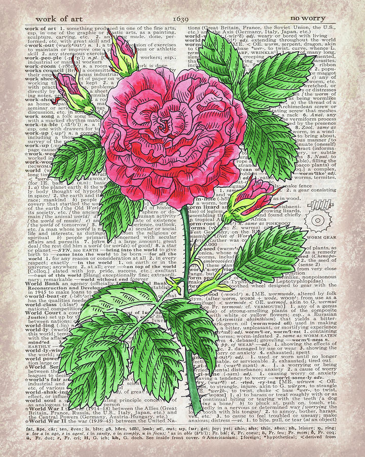 Vintage Rose Dictionary Page Watercolor Art  Painting by Irina Sztukowski
