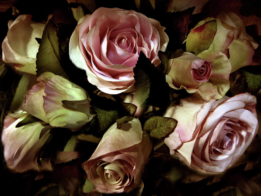 Flower Photograph - Vintage Rose by Jessica Jenney