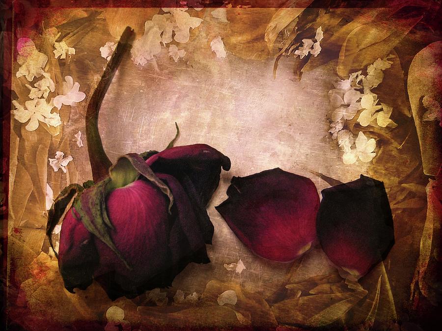 Vintage Photograph - Vintage Rose Petals by Jessica Jenney