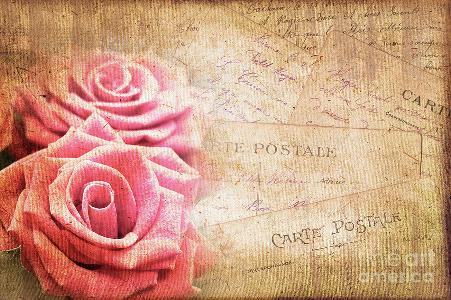 Vintage roses and postcards Photograph by Delphimages Photo Creations