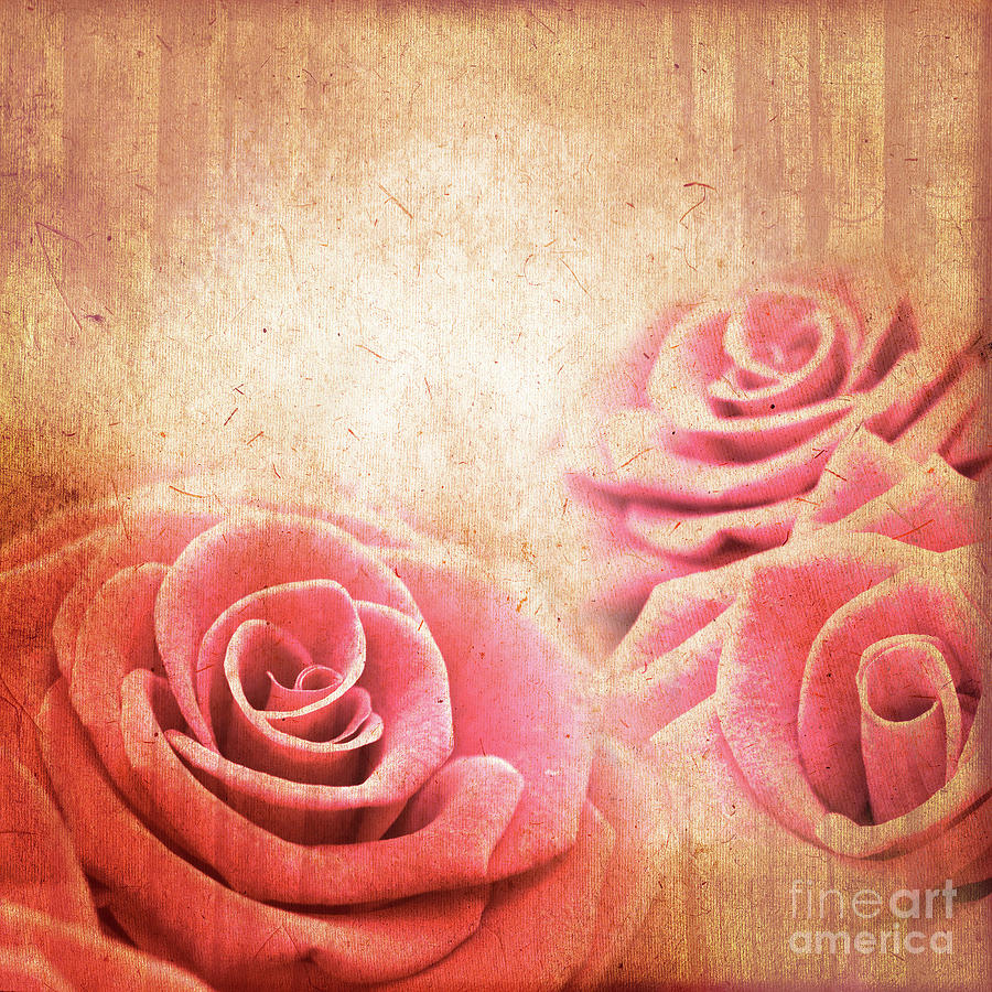 Vintage Pink Rose Parchment Old Paper Background