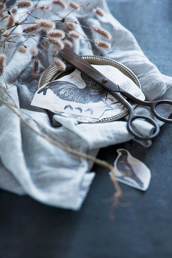 Vintage Scissors And Cut-out Animal Motifs On Pewter Plate Photograph by Alicja Koll