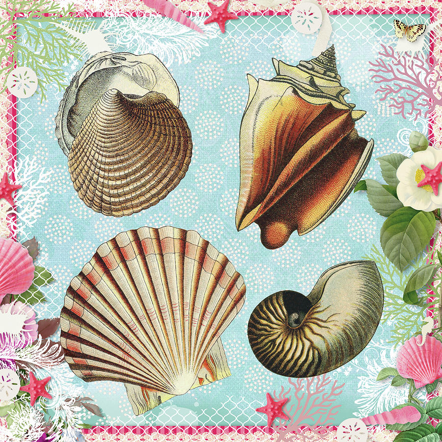 Vintage Shells 2 - A Day at the Beach Digital Art by Peggy Collins