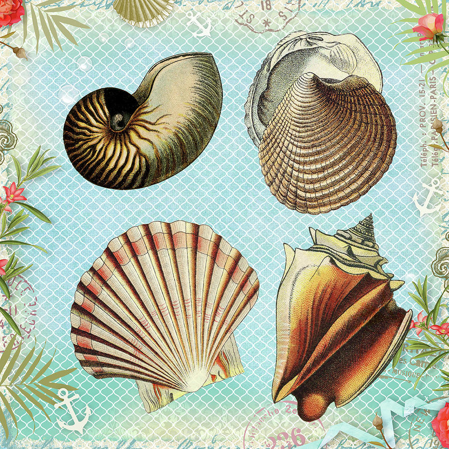 Vintage Shells Collage Mixed Media by Peggy Collins