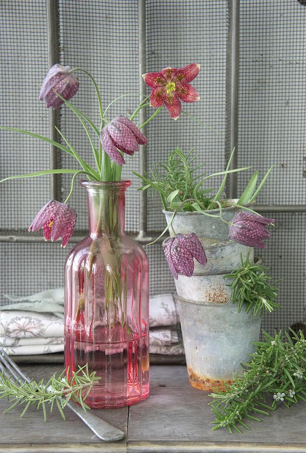 Vintage-style Arrangement Of Stacked Zinc Pots, Snakes Head Fritillaries In Glass Vases And Sprigs Of Rosemary Photograph by Martina Schindler