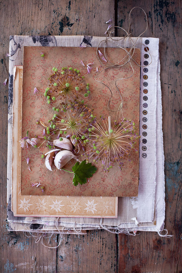 Vintage-style Arrangement With Garlic Cloves And Garlic Flowers Photograph by Alicja Koll