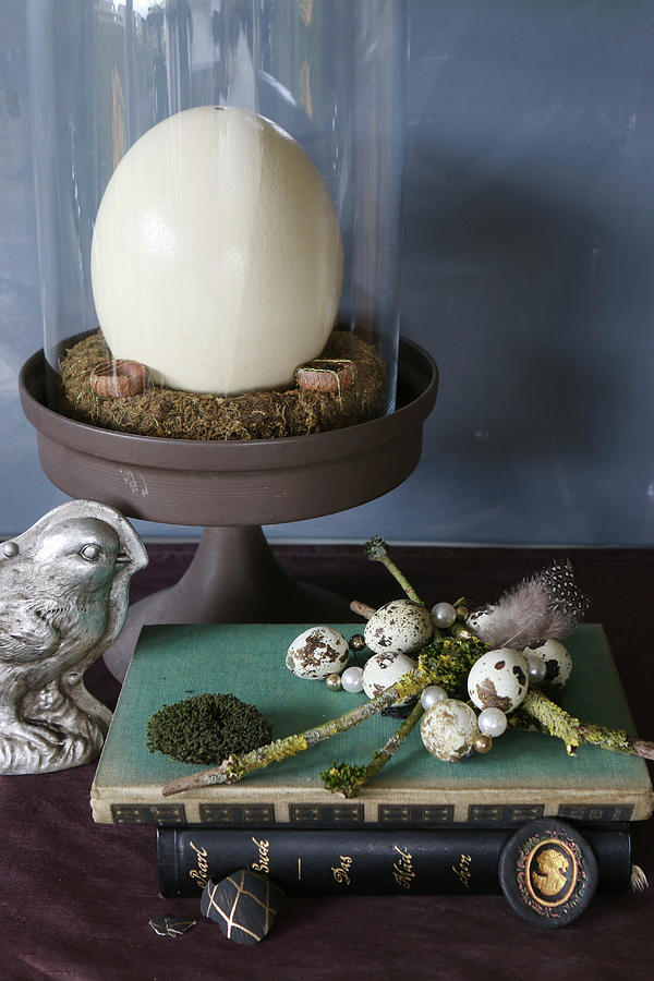 Vintage-style, Easter Still-life Arrangement With Ostrich Egg Under Glass Cover Photograph by Regina Hippel