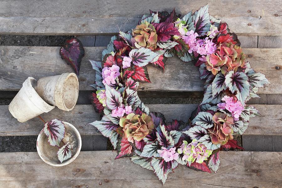 Vintage-style Wreath Of Rex Begonia Leaves And Hydrangea Flowers Photograph by Heidi Frhlich