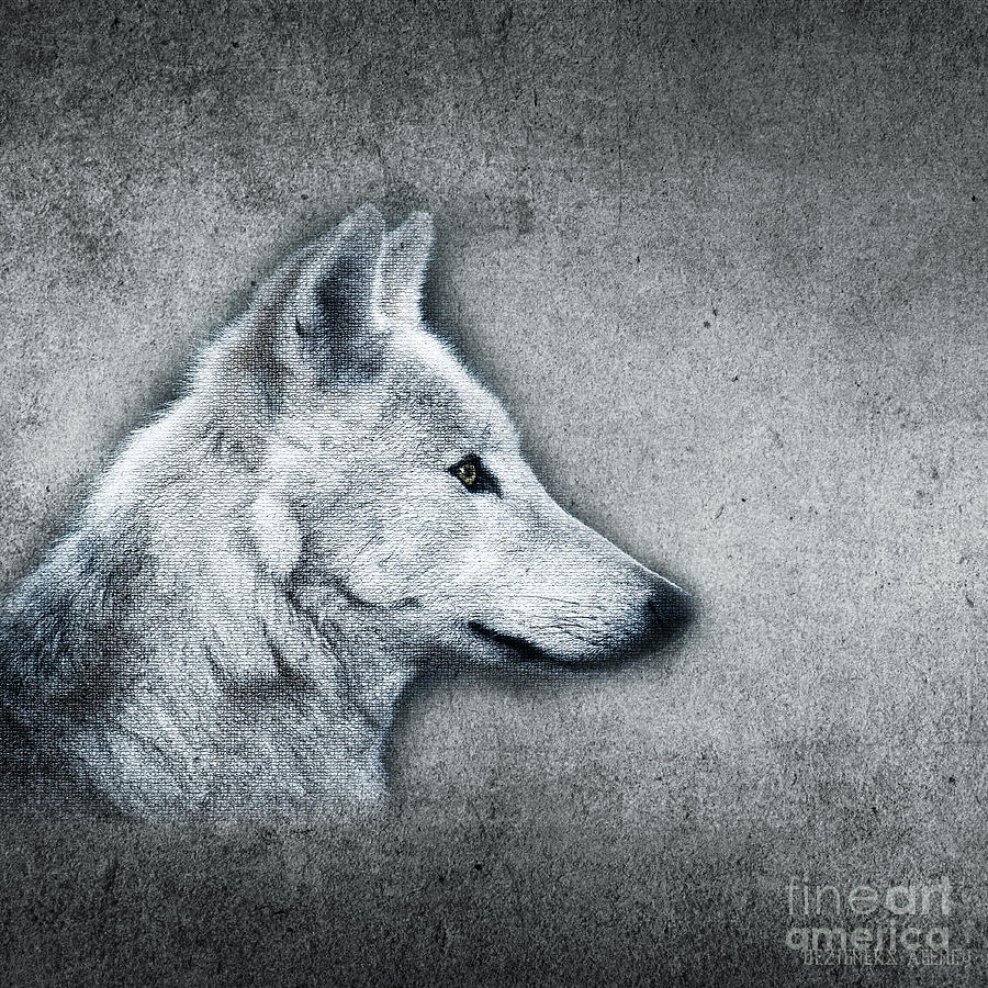 Wolves Mixed Media - Vintage Theme- Mr. Wolf by Dezigners Agency