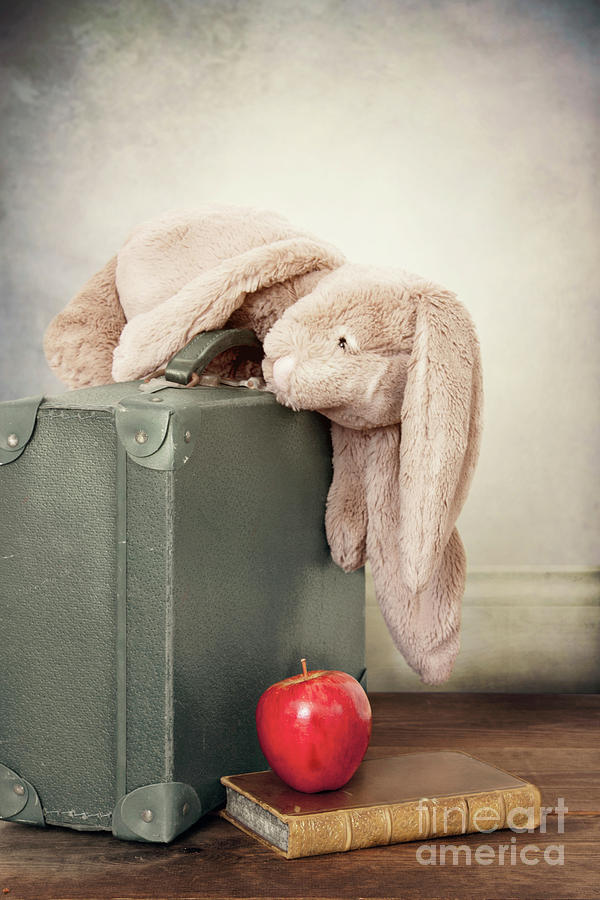 Vintage Toy Bunny Rabbit With A Childs Suitcase, Book And Apple Photograph by Ethiriel Photography