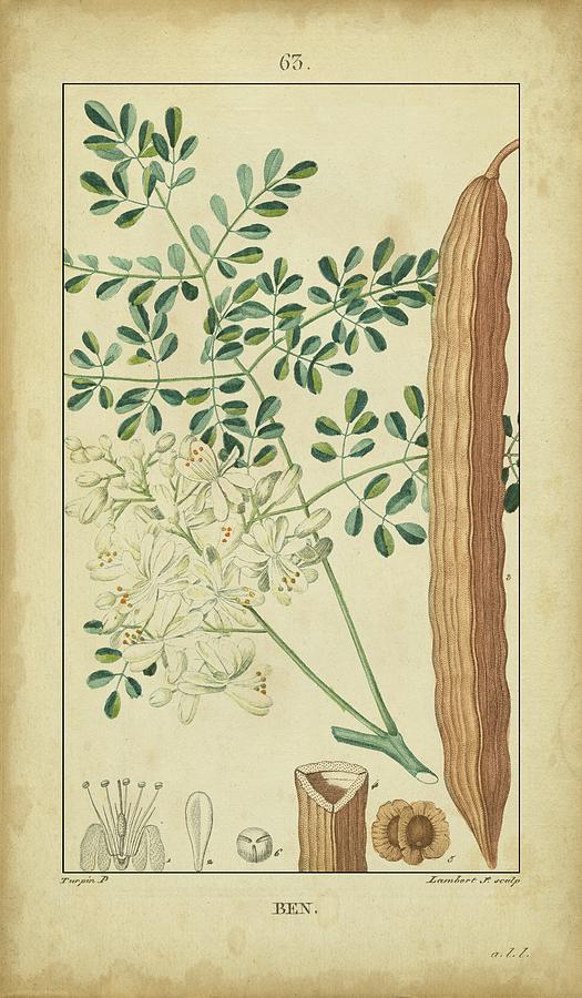 Vintage Turpin Botanical V Painting by Turpin - Fine Art America