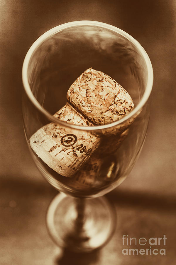 Vintage vino Photograph by Jorgo Photography