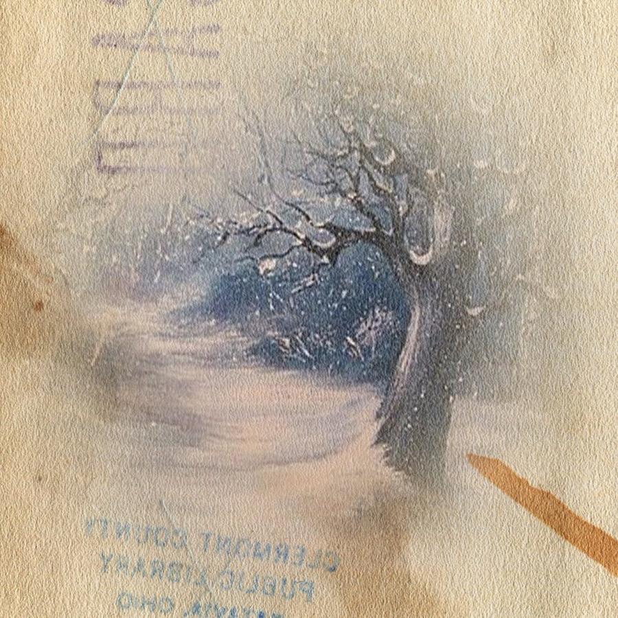 Vintage winter in the forest Digital Art by Megan Walsh