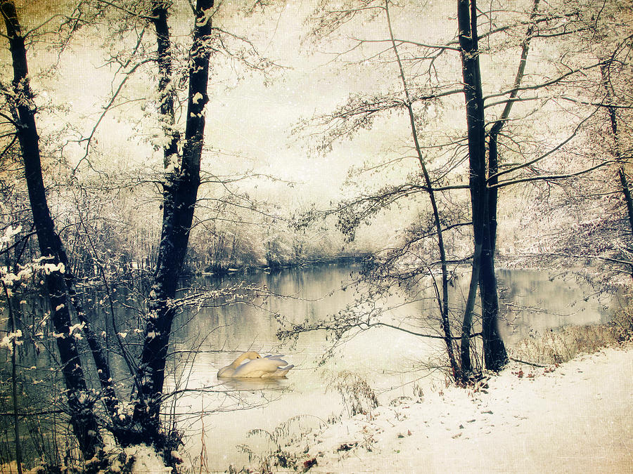Vintage Winter  Photograph by Jessica Jenney